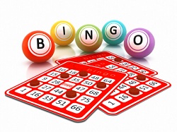 Bingo Casino Site